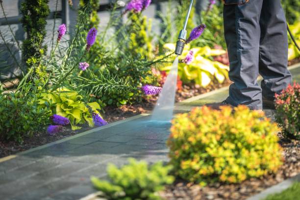 Best Boat and Dock Cleaning  in West Pittston, PA
