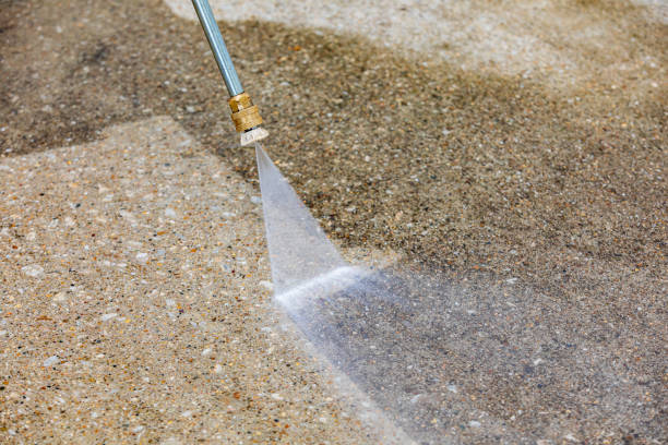 Best Soft Washing  in West Pittston, PA
