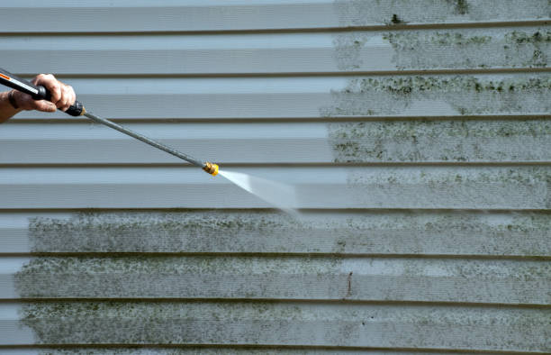 Best Building Exterior Washing  in West Pittston, PA