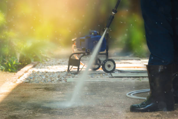 Best Roof Washing  in West Pittston, PA